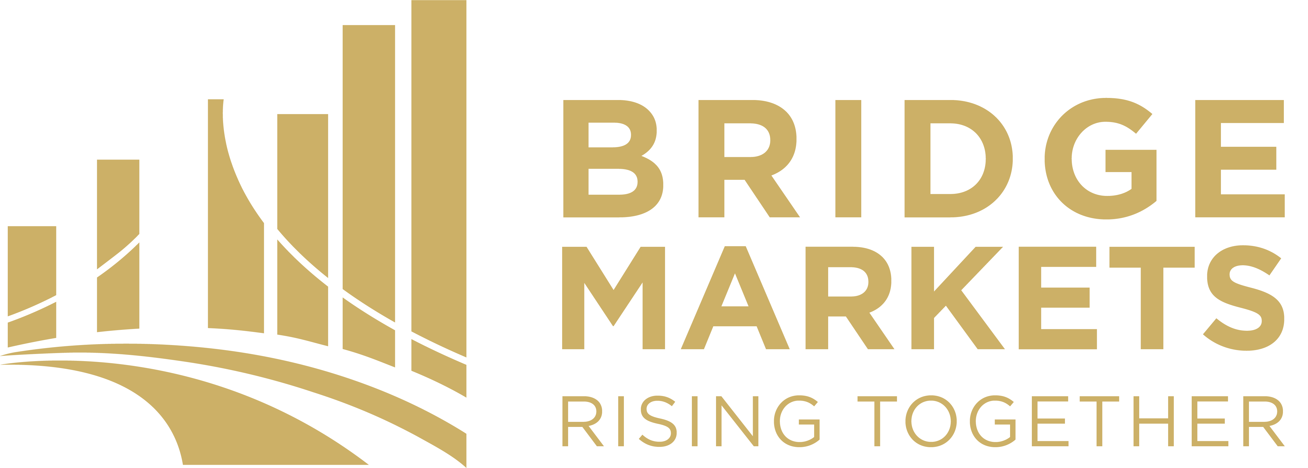 Bridgemarkets Password Reminder